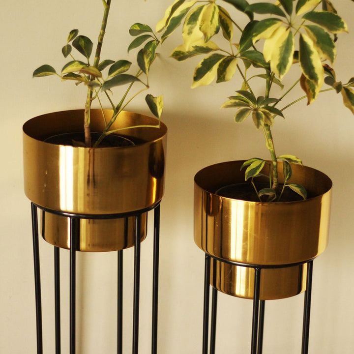 Shiny Noir Aluminium Planter With Iron Stand | Set of 2