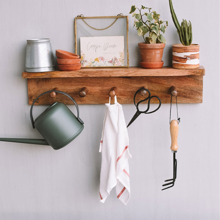 Mango Wood Clothes Hanger & Wall Shelf