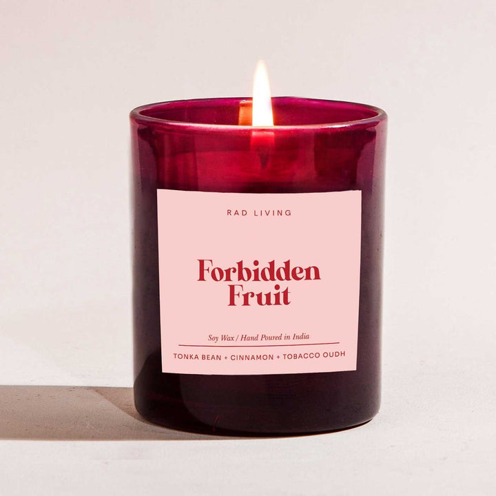 Hand Poured Forbidden Fruit Tonka Bean, Cinnamon & Tobacco Oudh Scented Soy Wax Candle