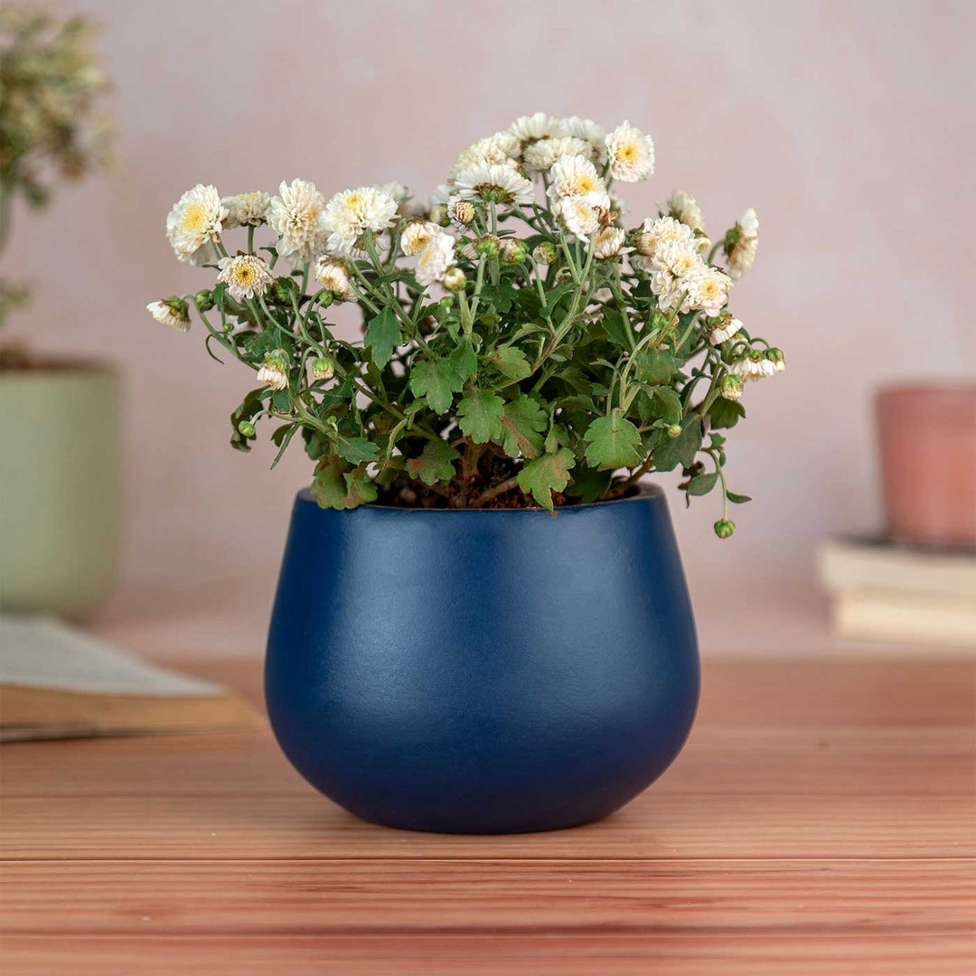 Minimal Blue Terracotta Planter