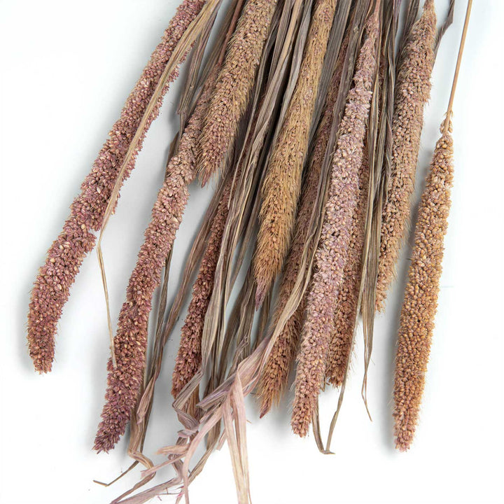 Lavender Natural Dried Millet Bundle | Set Of 10