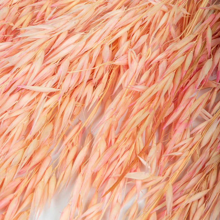 Pink Natural Dried Havana Grass Bundle