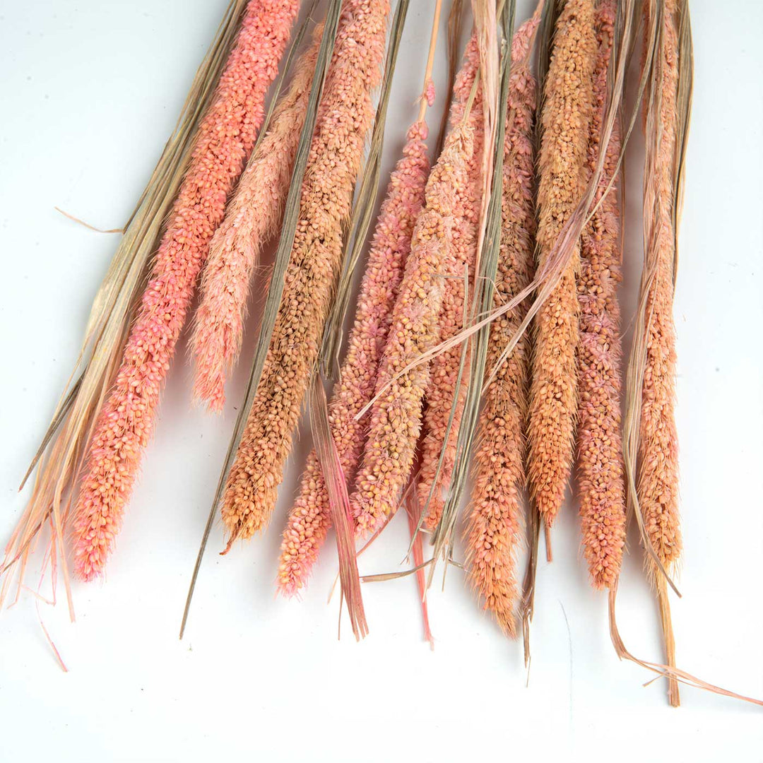 Pink Natural Dried Millet Bundle | Set Of 10