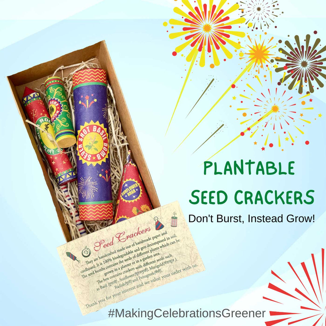 Handmade Plantable Seed Crackers With 5 Seeds Gift Hamper | Set of 5