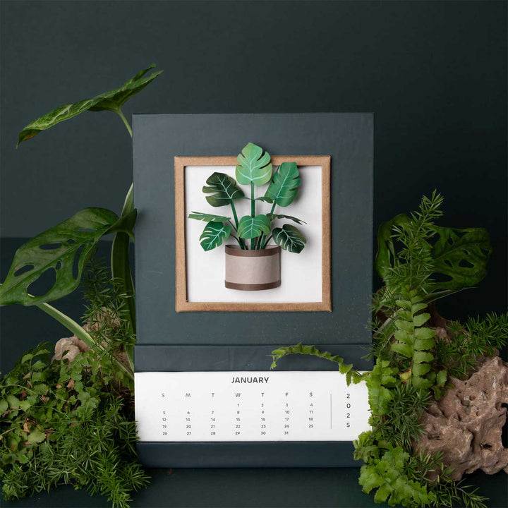 Handmade 3D Monstera Plant 2025 Desk Calendar