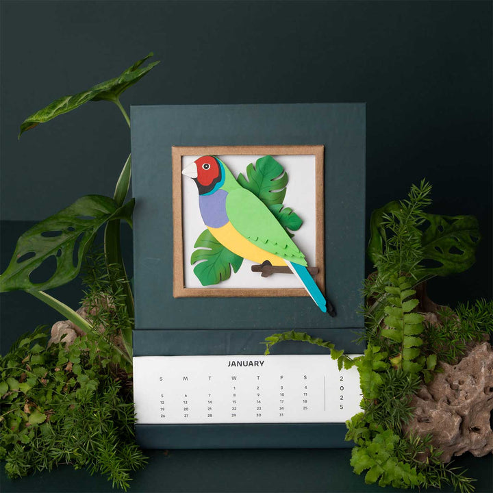 Handmade 3D Gouldian Finch Bird 2025 Desk Calendar