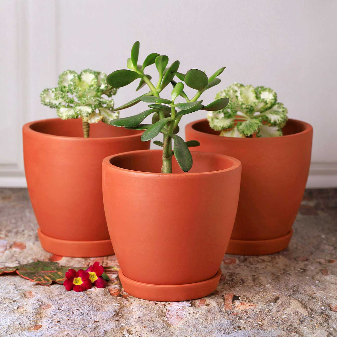 Handmade Medium 6 Inch Hexane Planter Terracotta Planter Pot