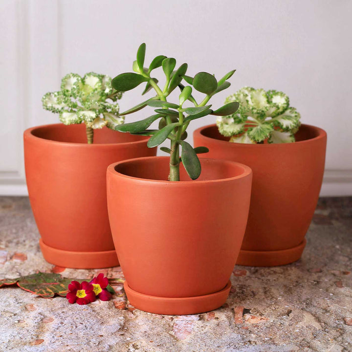 Handmade Medium 6 Inch Hexane Planter Terracotta Planter Pot