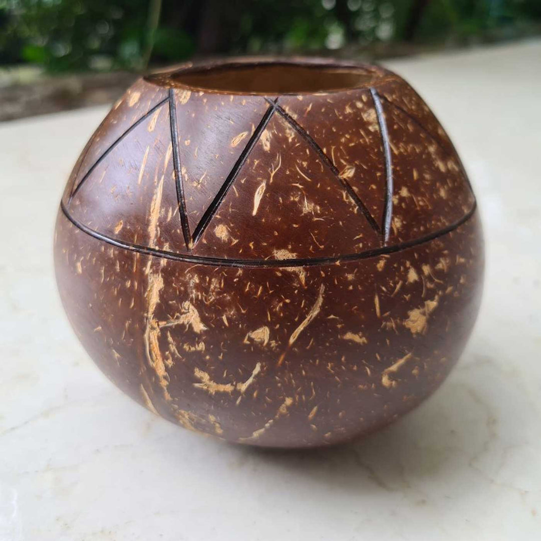 Eco-Friendly Handmade Zig Zag Coconut Shell Planter Pot