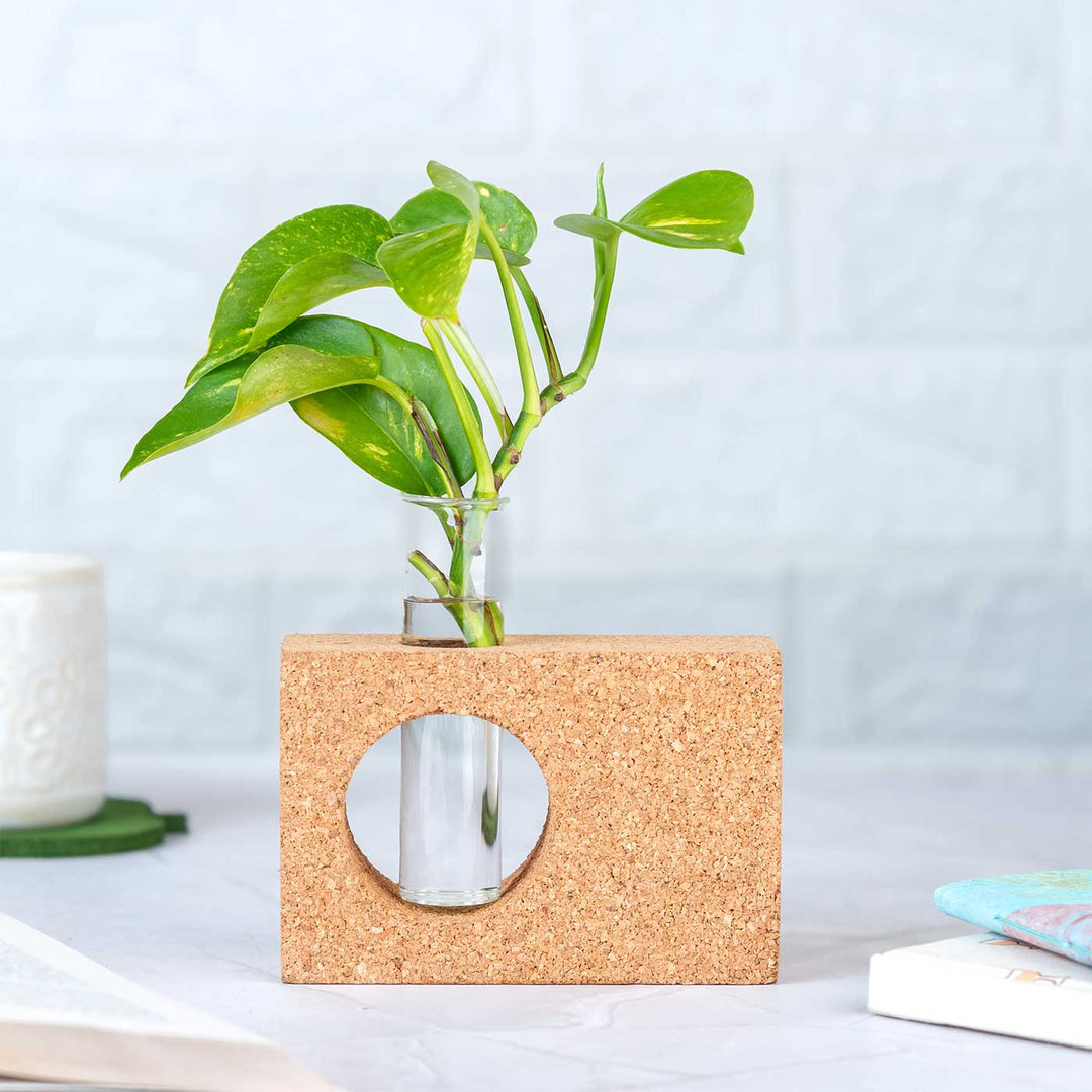 Handmade Minimal Test Tube Cork Planter