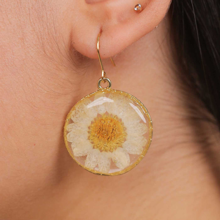 Handmade Preserved Flower Innocent White Daisy Brass Earrings