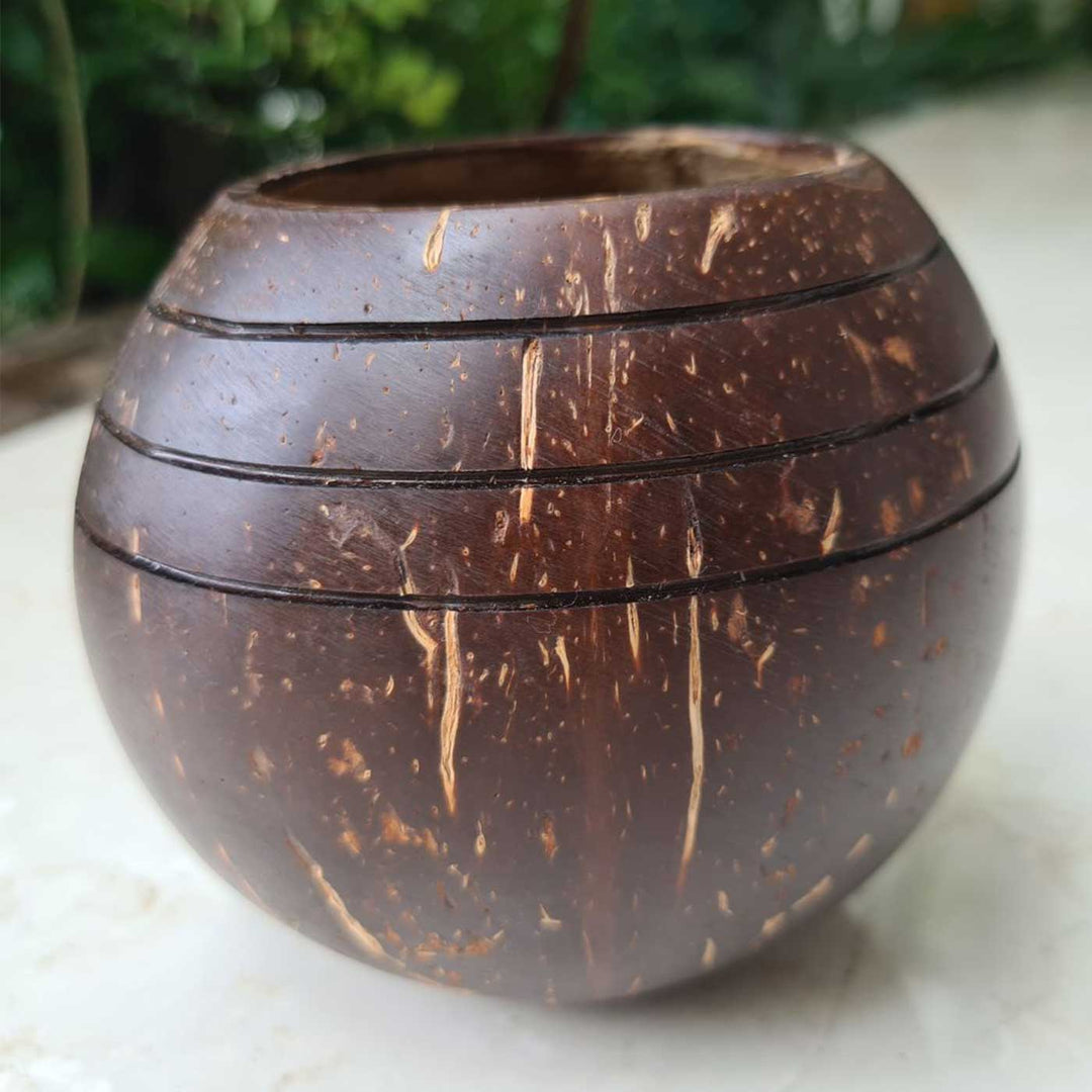 Eco-Friendly Handmade Three Line Coconut Shell Planter Pot