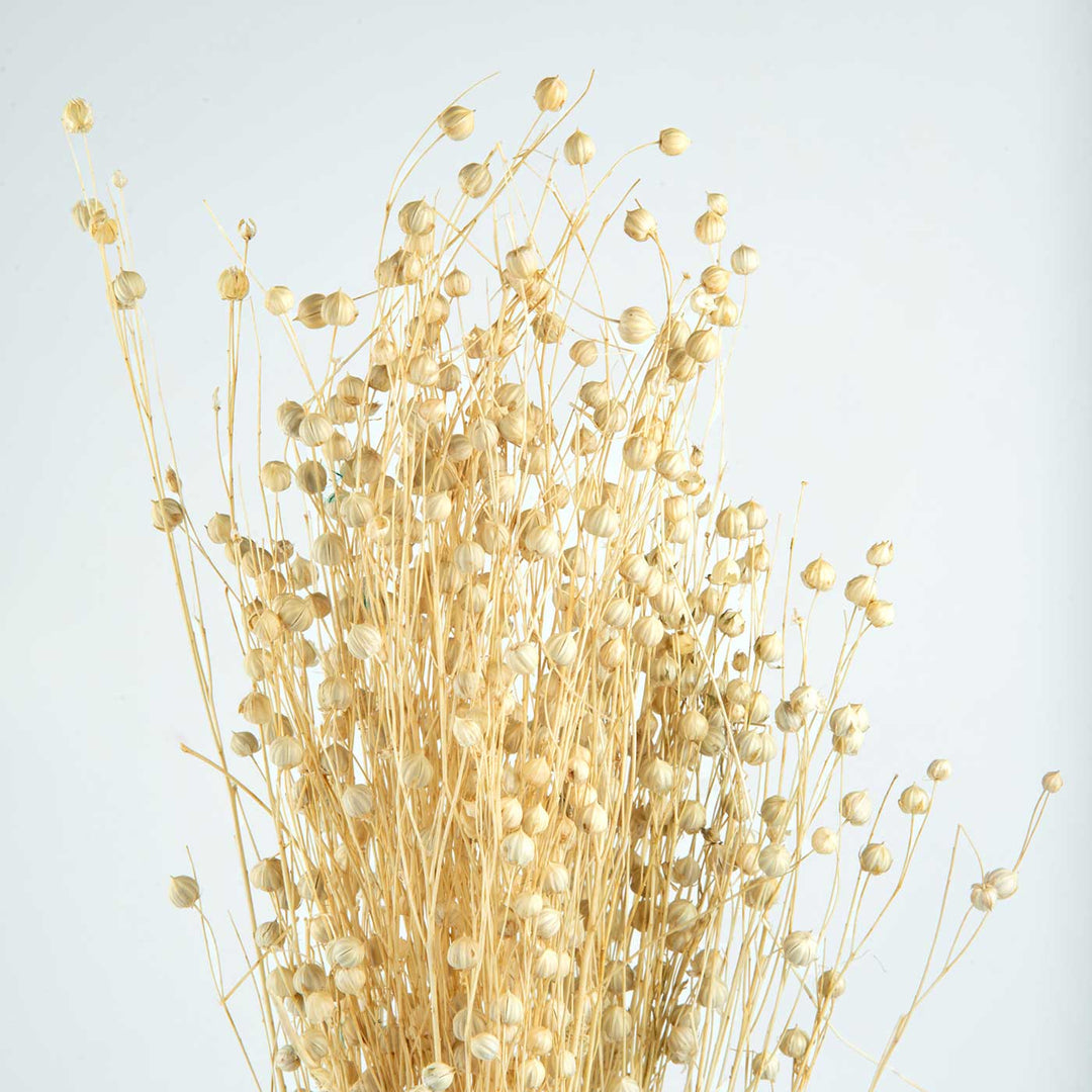 Yellow Natural Dried Tishi Grass