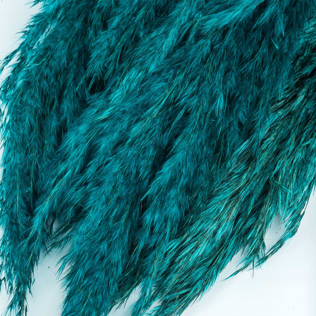 Teal Natural Dried Pampas Grass Bundle