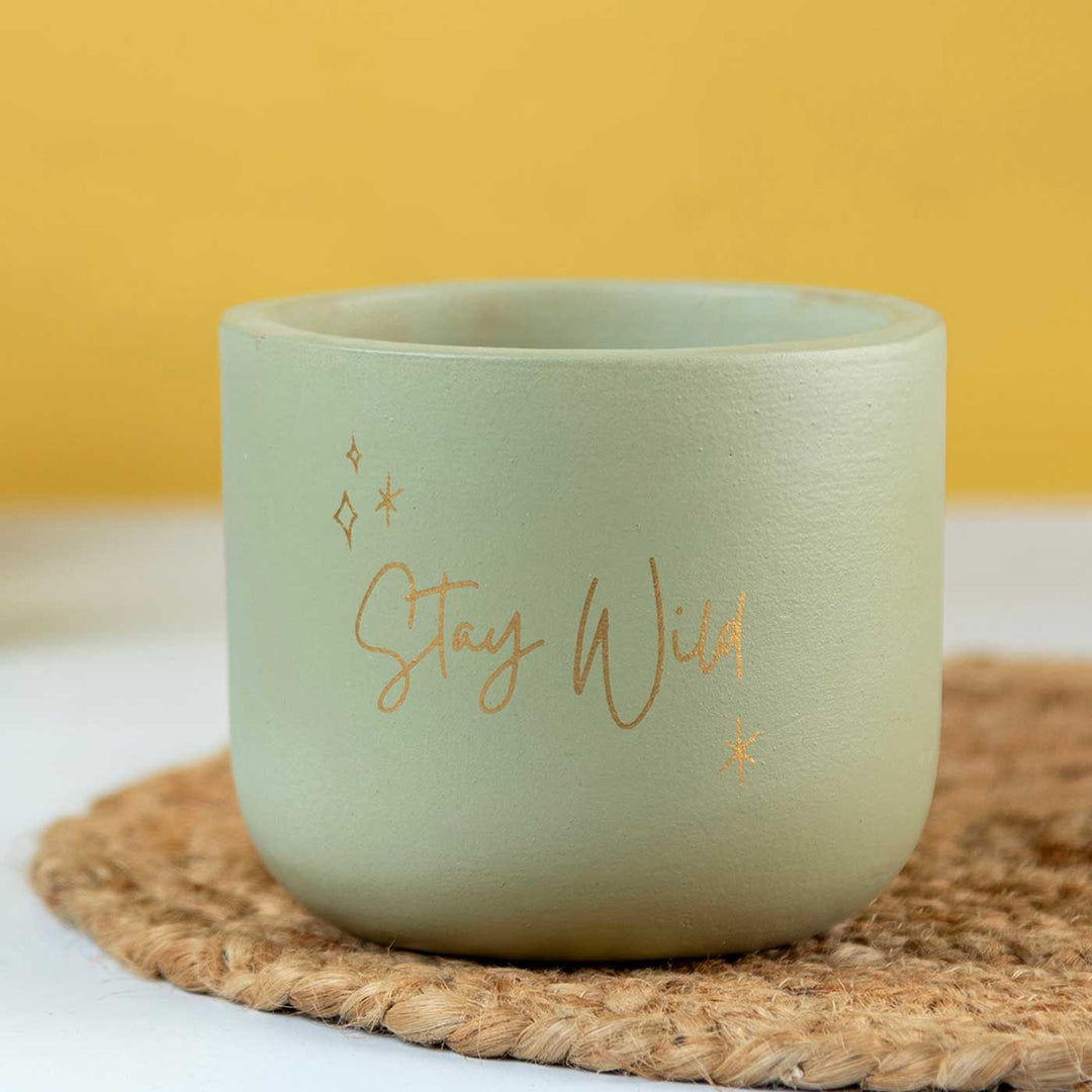 Stay Wild Terracotta Planter