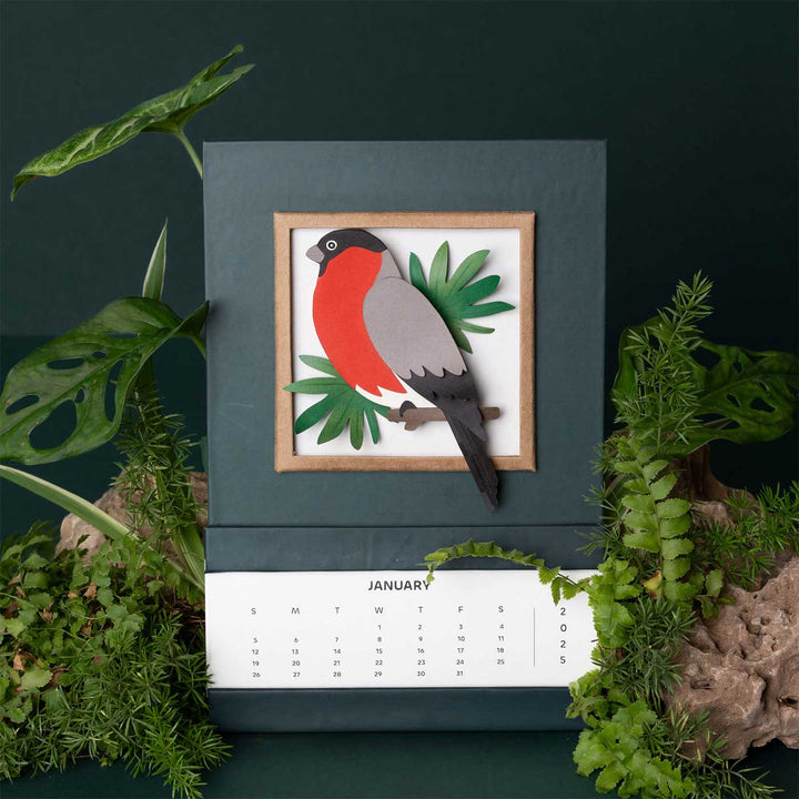 Handmade 3D Bullfinch Bird 2025 Desk Calendar