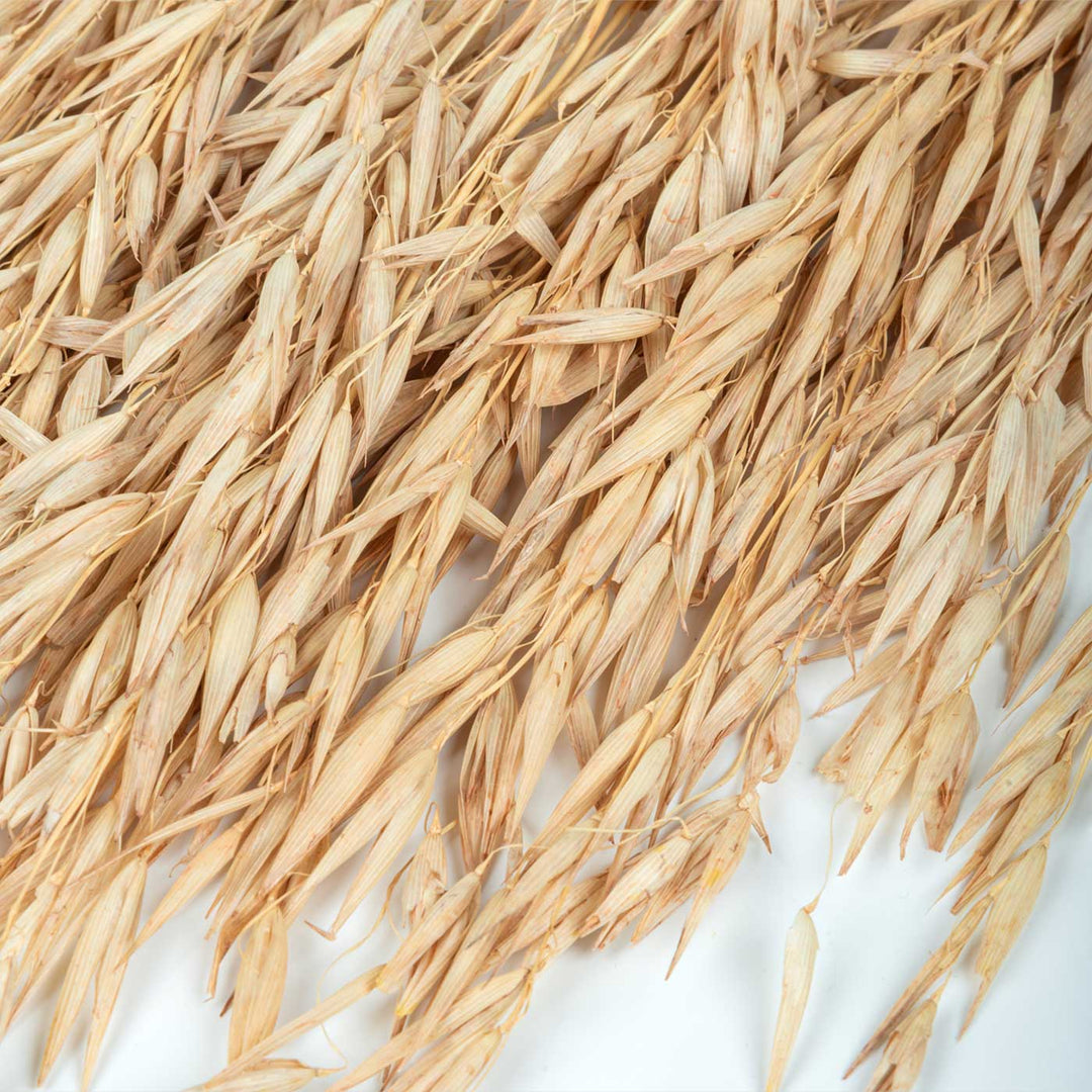 Light Brown Natural Dried Havana Grass Bundle