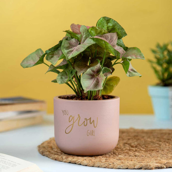 You Grow Girl Terracotta Planter