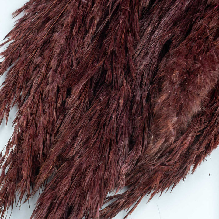 Dark Brown Natural Dried Pampas Grass Bundle