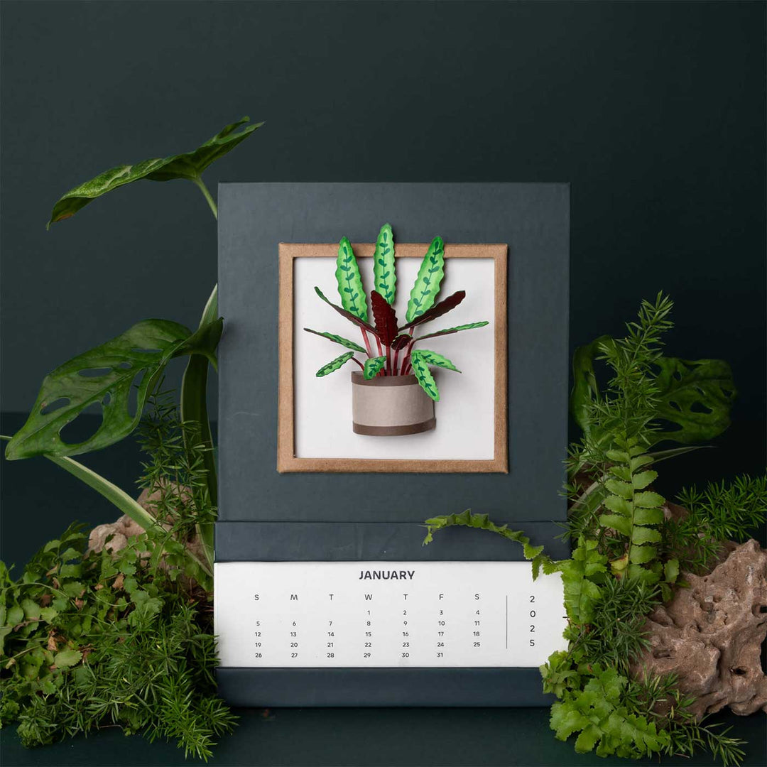 Handmade 3D Rattle Snake Plant 2025 Desk Calendar