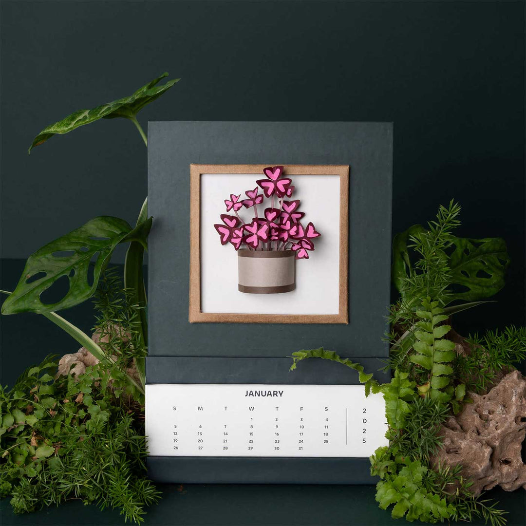 Handmade 3D Oxalis Plant 2025 Desk Calendar