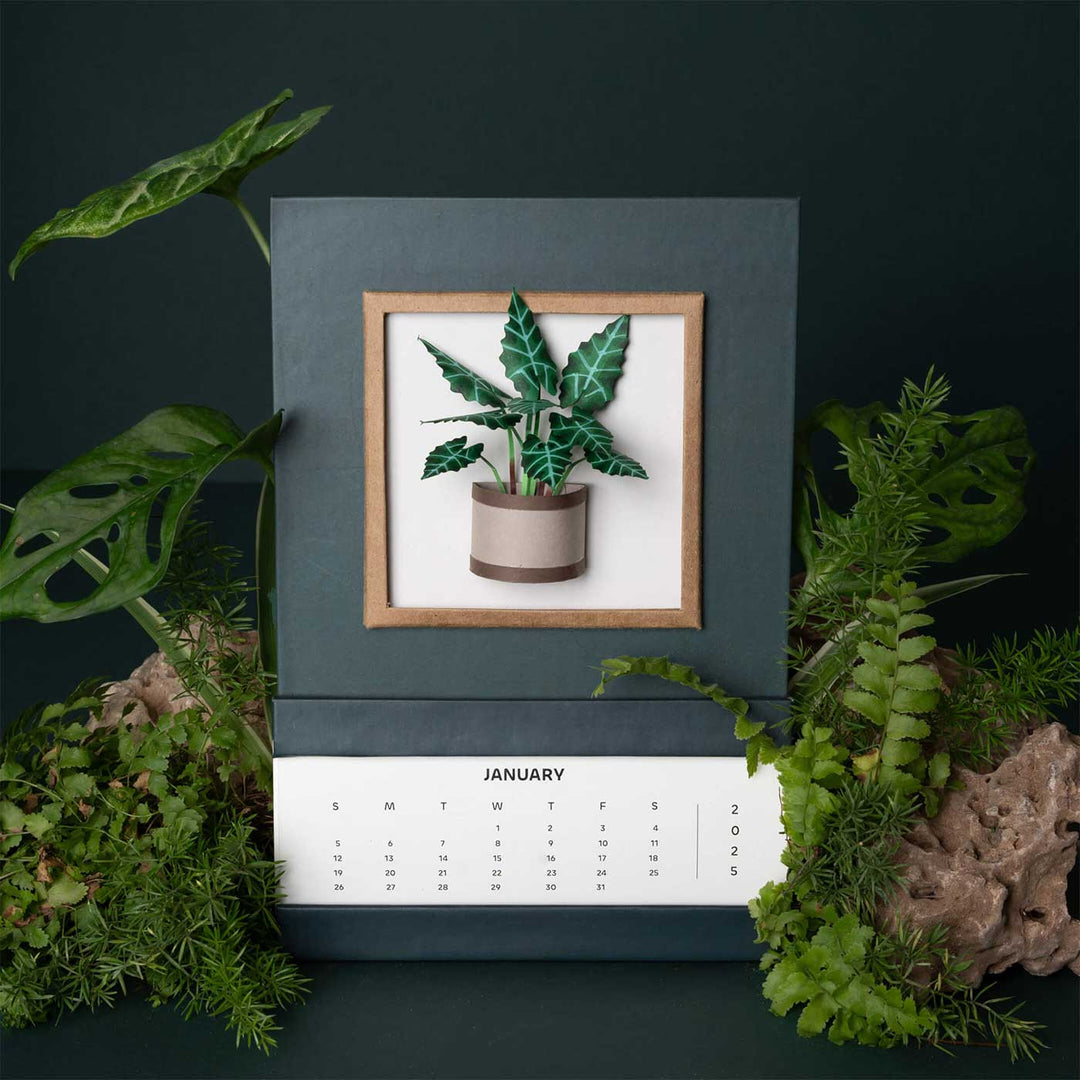 Handmade 3D Alocasias Polly Plant 2025 Desk Calendar