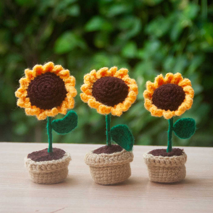 Handmade Crochet Sunflower Pots | Set Of 3