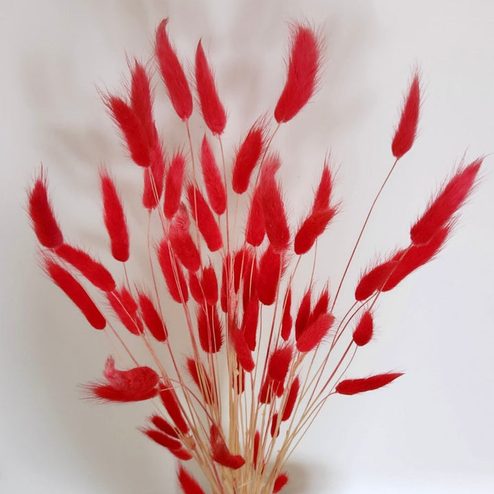 Handmade Crimson Red Bunny Tails Bouquet | Set Of 25