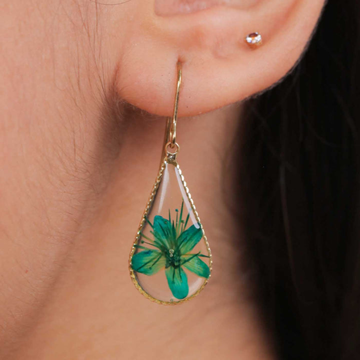 Handmade Preserved Flower Green Allium Tear Drop Brass Earrings