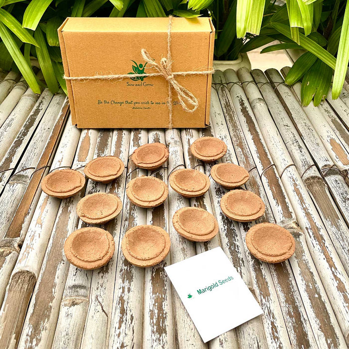 Handmade Organic Cow Dung Diyas With Marigold Seeds Gift Hamper | Set of 40