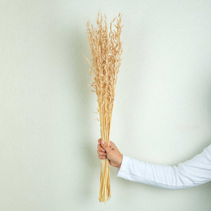 Light Brown Natural Dried Havana Grass Bundle