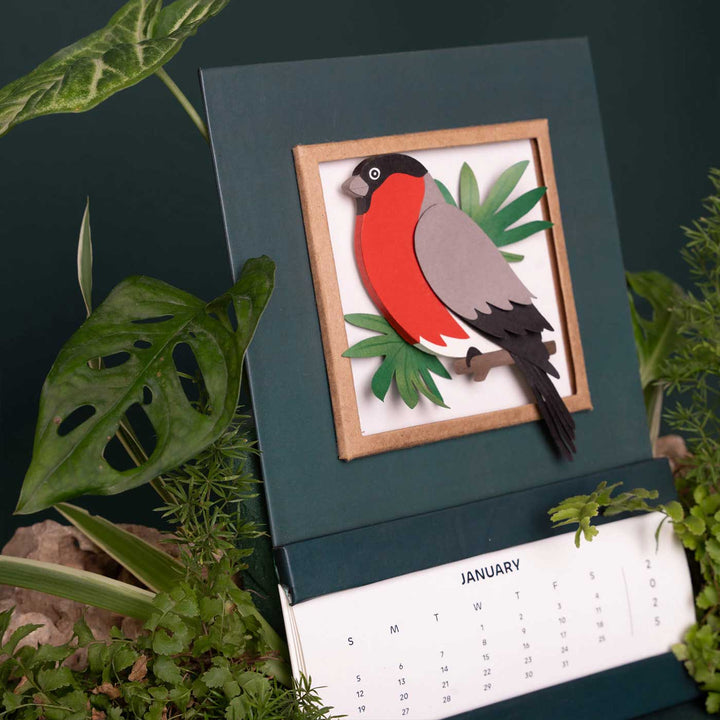 Handmade 3D Bullfinch Bird 2025 Desk Calendar