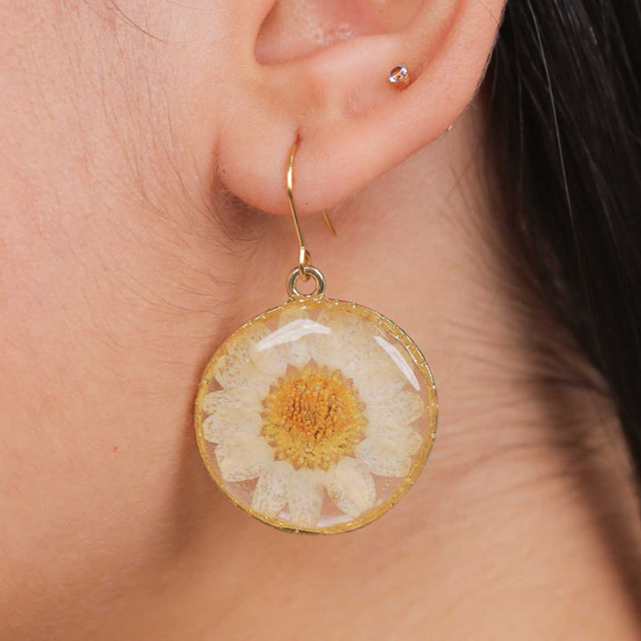 Handmade Preserved Flower Innocent White Daisy Brass Earrings