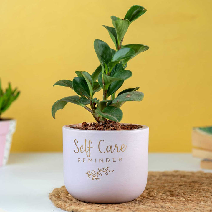 Self Care Reminder Terracotta Planter