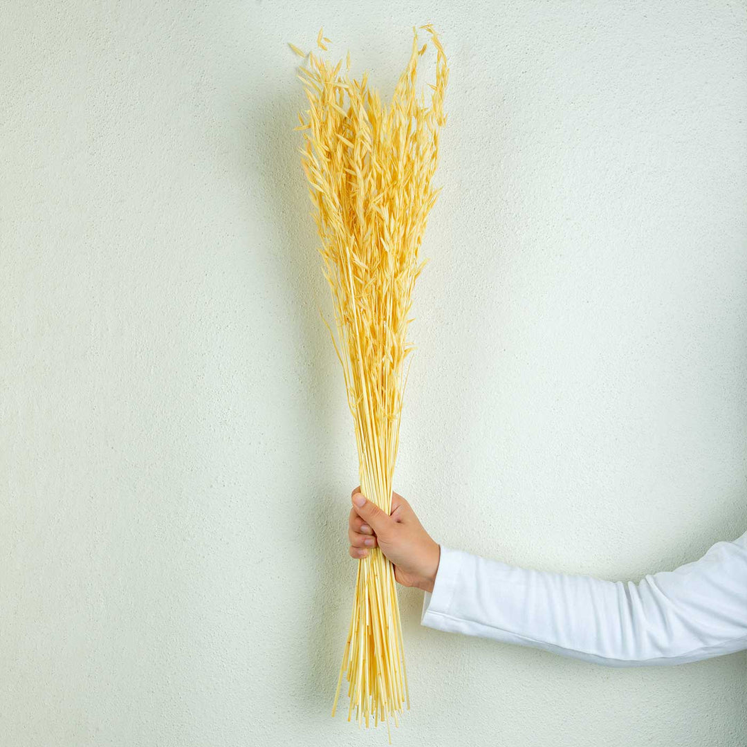 Yellow Natural Dried Havana Grass Bundle