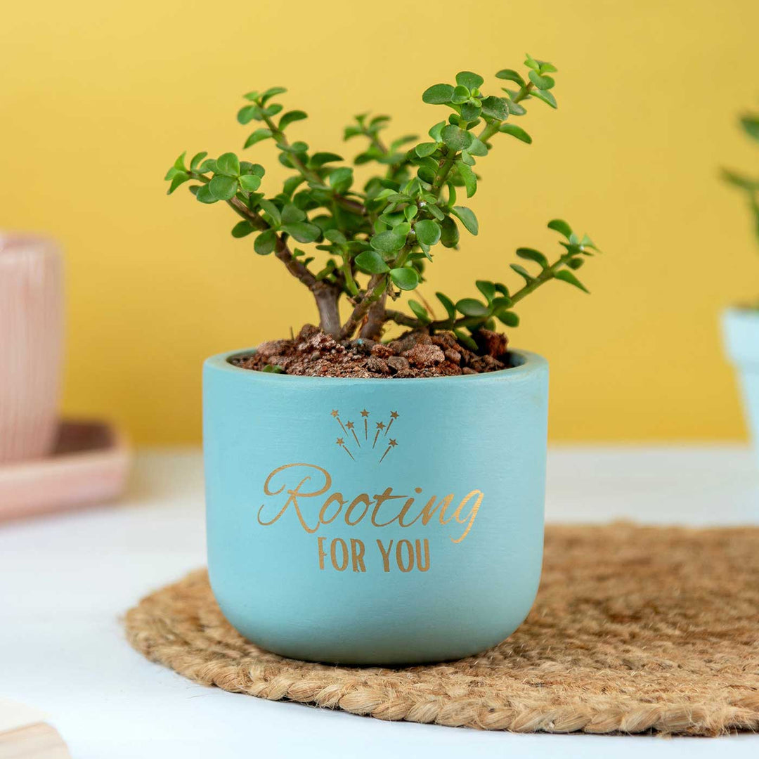 Rooting For You Terracotta Planter