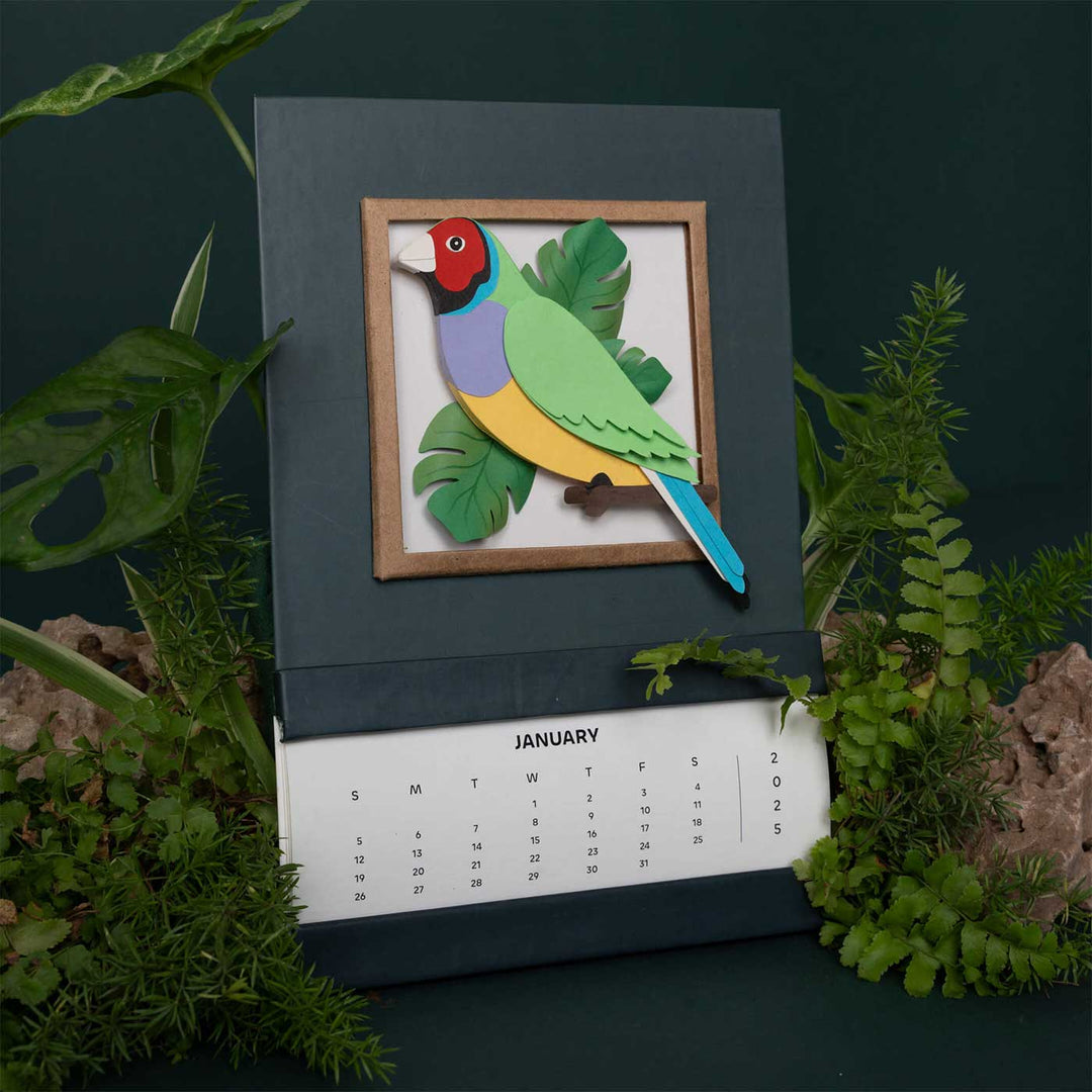 Handmade 3D Gouldian Finch Bird 2025 Desk Calendar