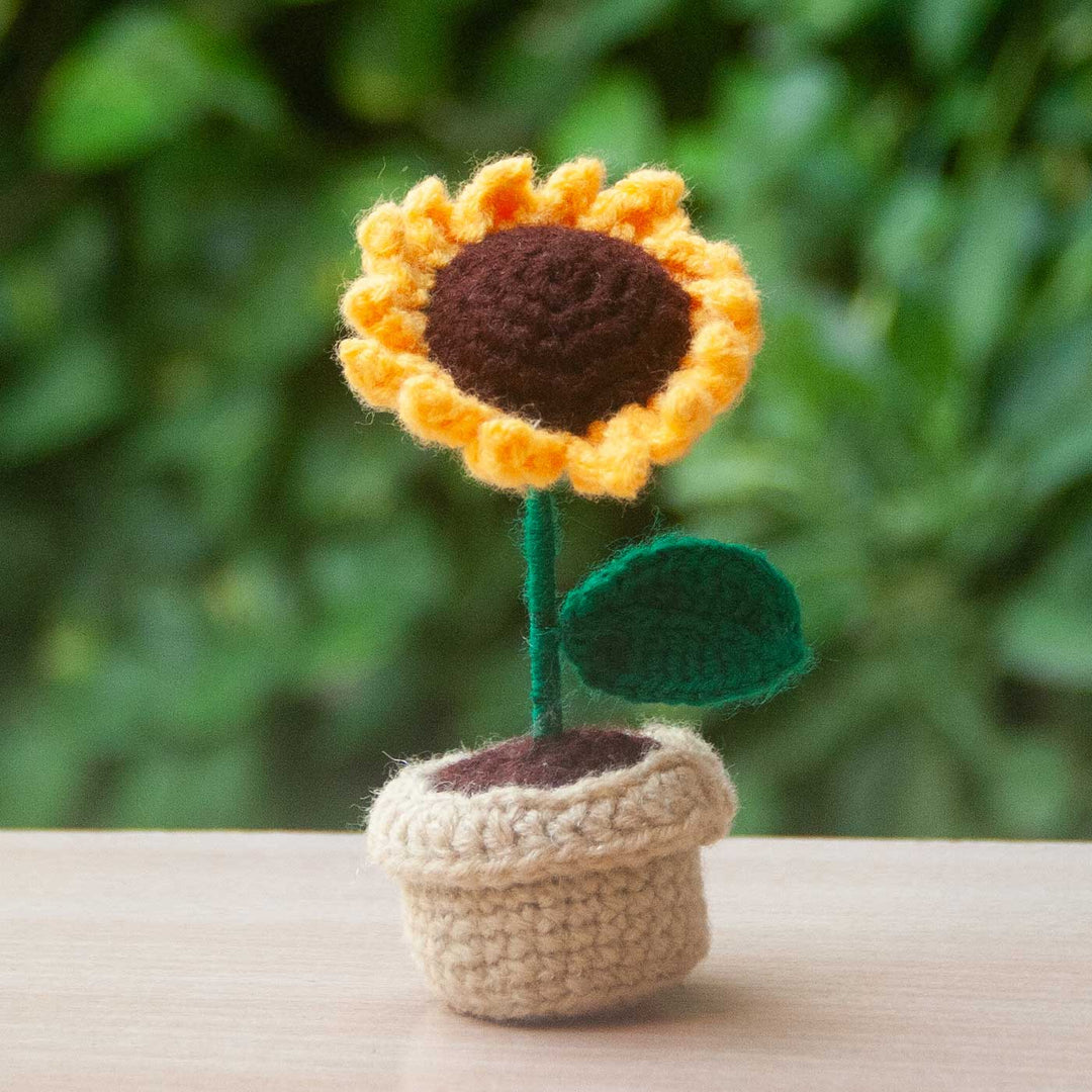 Handmade Crochet Sunflower Pots | Set Of 3