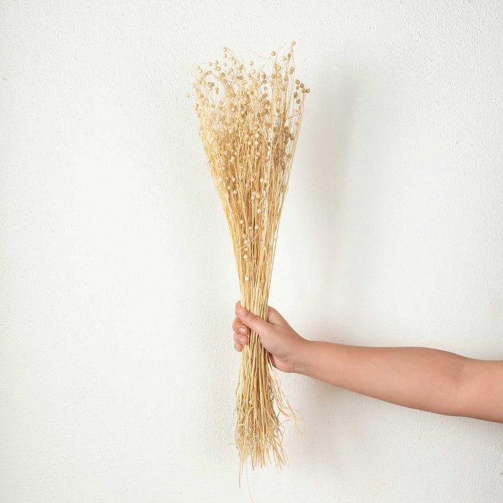 Yellow Natural Dried Tishi Grass