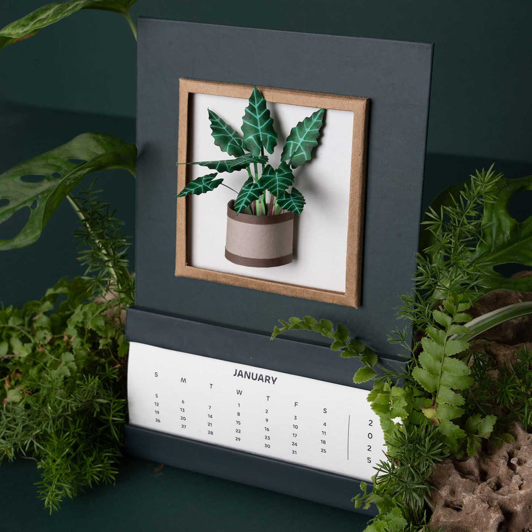 Handmade 3D Alocasias Polly Plant 2025 Desk Calendar