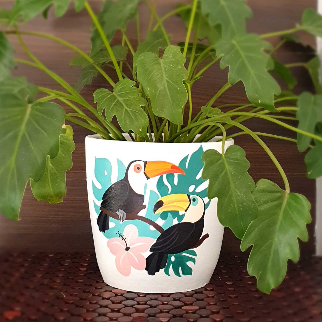 Hand-Painted White Toucan Terracotta Planter Pot