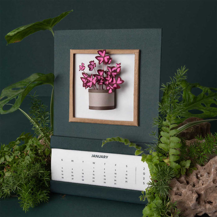 Handmade 3D Oxalis Plant 2025 Desk Calendar