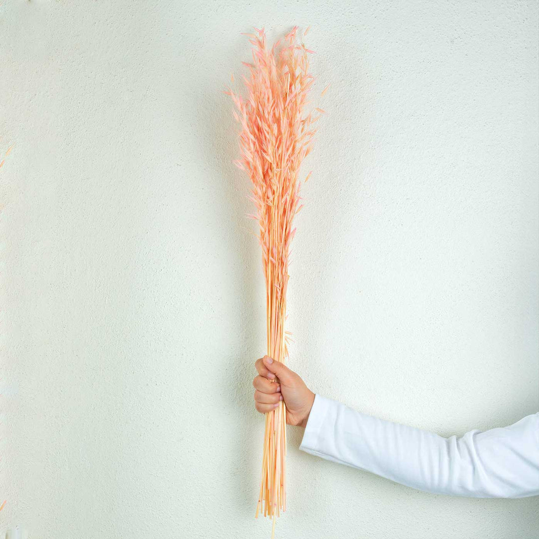 Pink Natural Dried Havana Grass Bundle