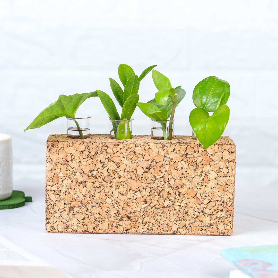 Handmade Blooming Brick' Test Tube Cork Planter