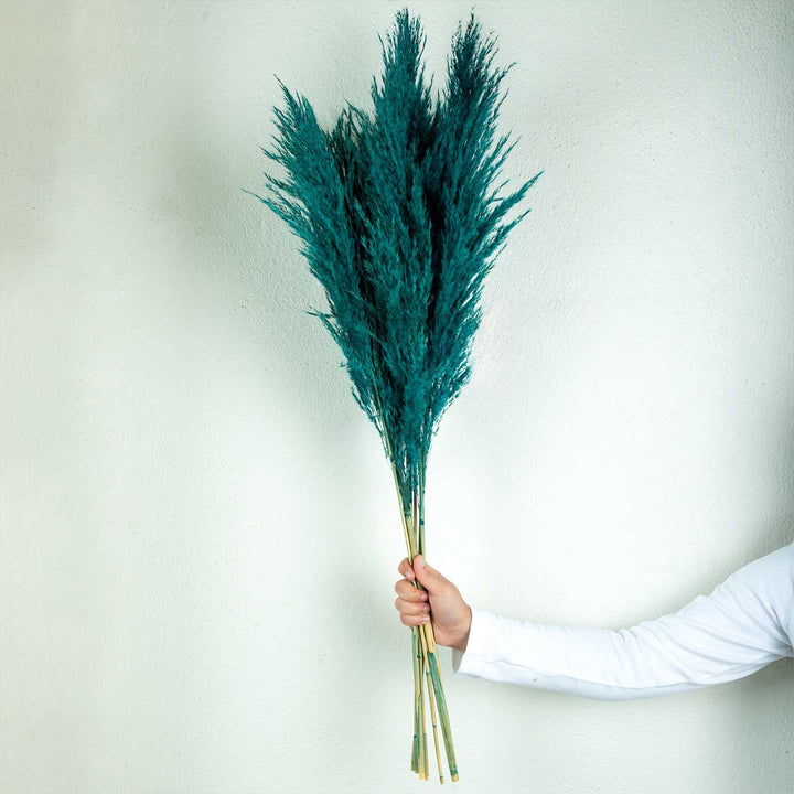 Teal Natural Dried Pampas Grass Bundle