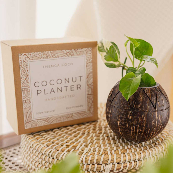 Eco-Friendly Handmade Zig Zag Coconut Shell Planter Pot