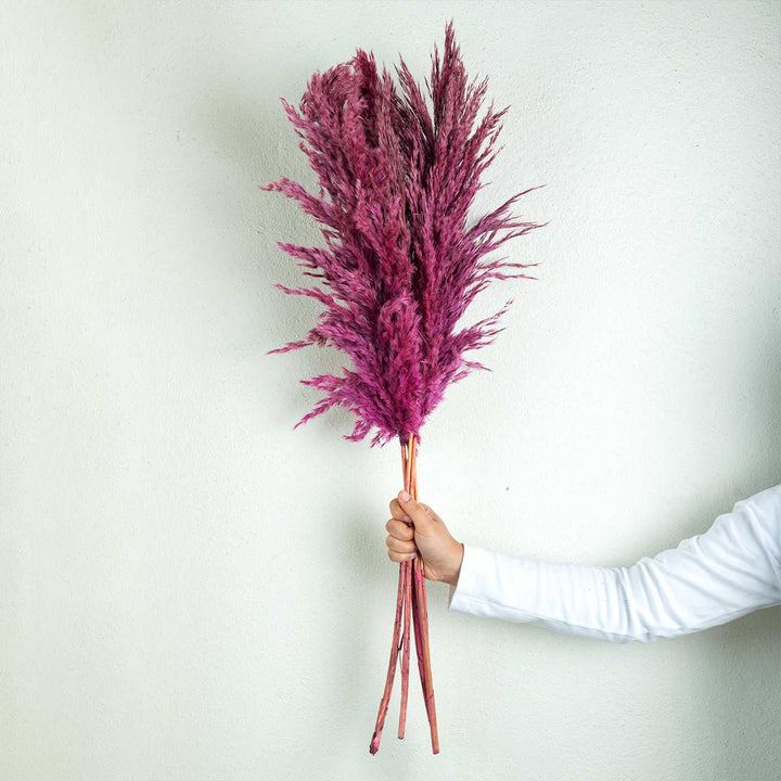 Vibrant Pink Natural Dried Pampas Grass Bundle