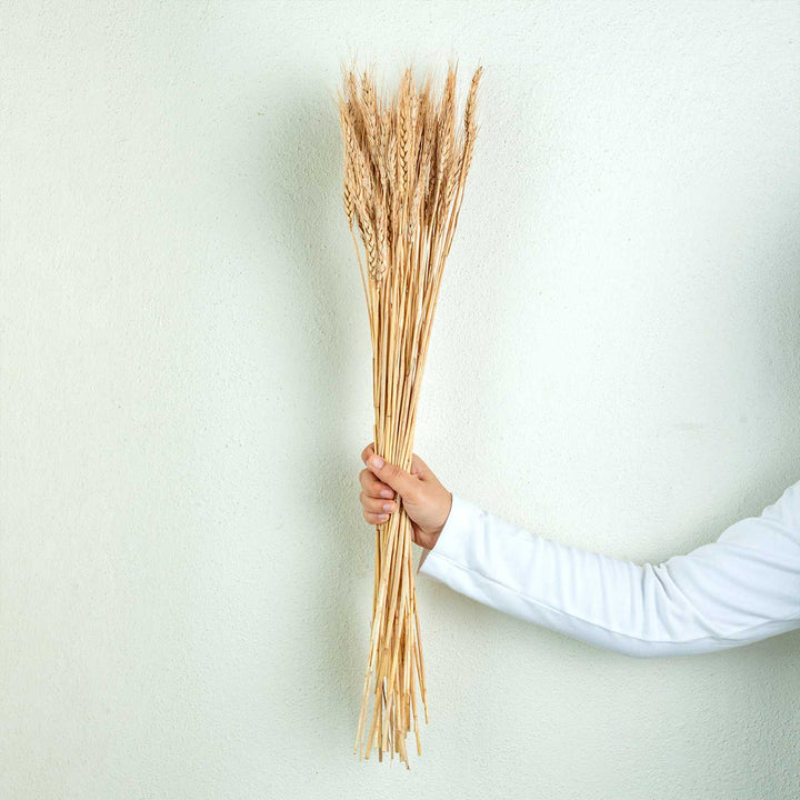 Brown Natural Dried Wheat Grass Bundle