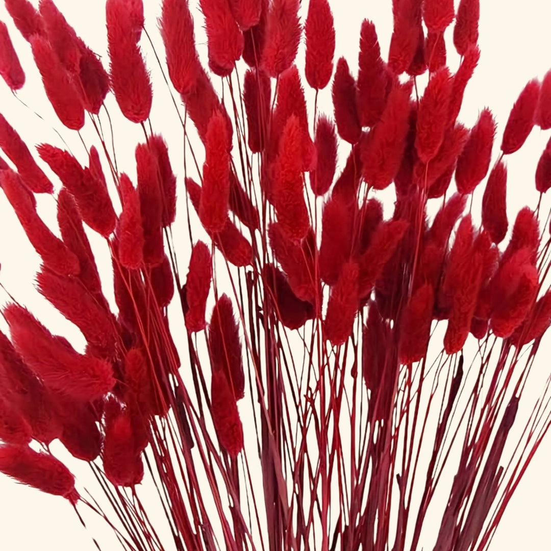 Handmade Crimson Red Bunny Tails Bouquet | Set Of 25