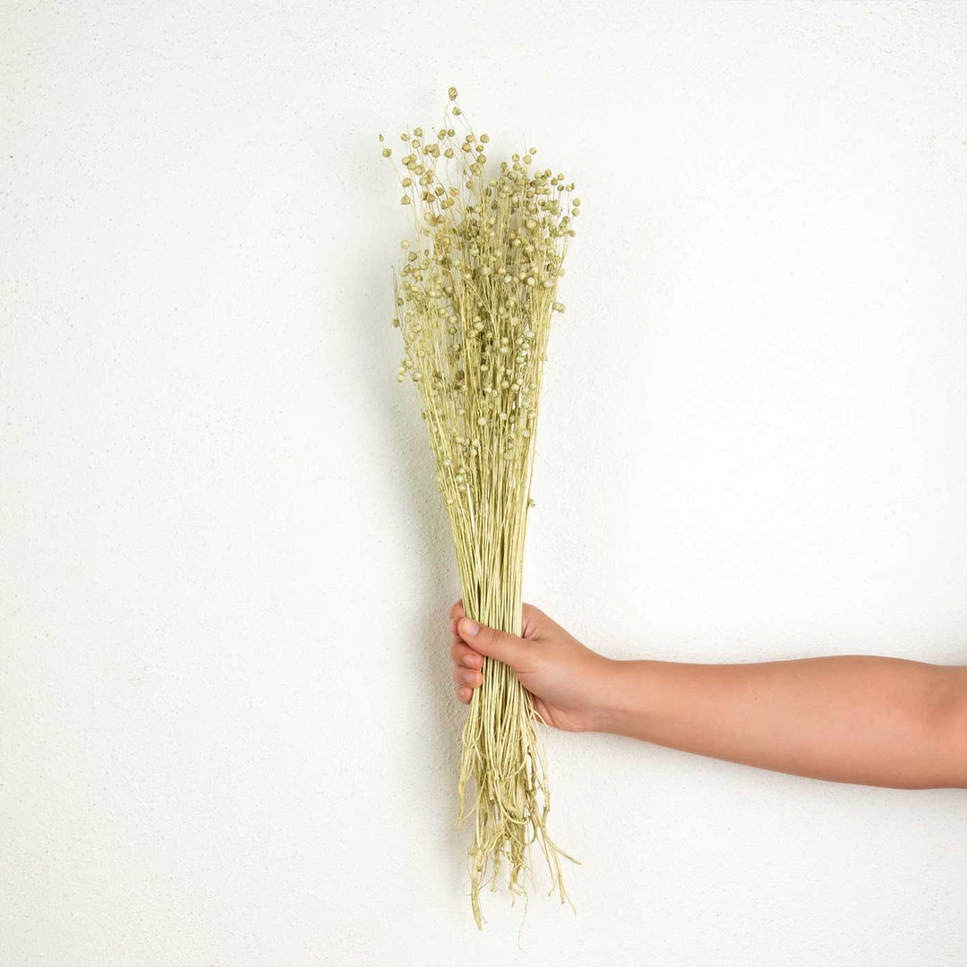 Green Natural Dried Tishi Grass